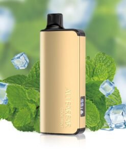 ALIBARBAR INGOT 9000 PUFF – COOL MINT