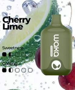 WAKA SMASH 6000 PUFF – CHERRY LIME