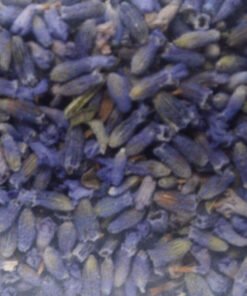 Lavender Flower Organic 25g