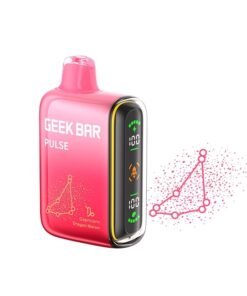 GEEK BAR VAPE 9000 PUFF – DRAGON MELON