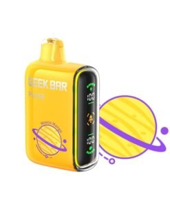 GEEK BAR VAPE 9000 PUFF – MEXICO MANGO