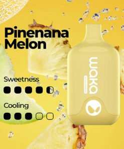 WAKA SMASH 6000 PUFF – PINENANA MELON