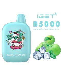 iGET B5000 VAPE 5000 PUFF – GREEN PLUM ICE