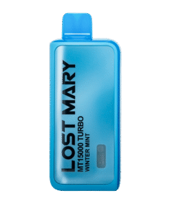Winter Mint Lost Mary MT15000 Turbo