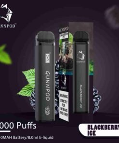 Blackberry Ice-2000 Puffs