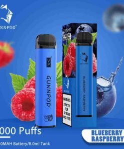 Blueberry Raspberry-2000 Puffs
