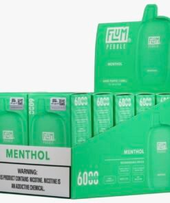 Menthol 6000 puffs (10 pack)