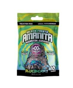 BLUEBERRY AMANITA MUSHROOM GUMMIES