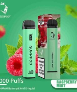 Raspberry Mint-2000 Puffs