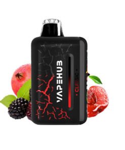 Vapehub Ultra 20000